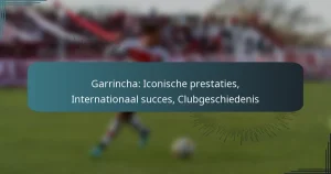 Garrincha: Iconische prestaties, Internationaal succes, Clubgeschiedenis