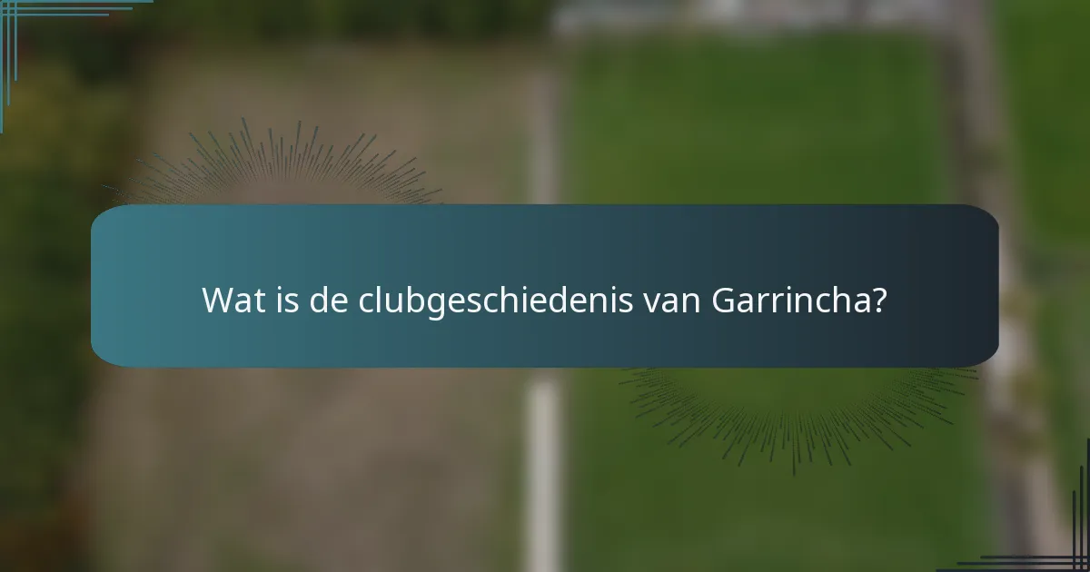 Wat is de clubgeschiedenis van Garrincha?