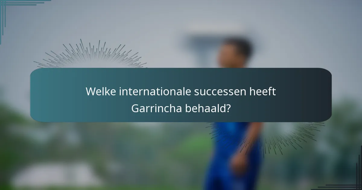 Welke internationale successen heeft Garrincha behaald?