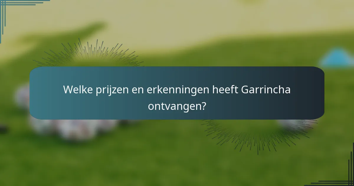 Welke prijzen en erkenningen heeft Garrincha ontvangen?